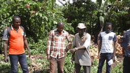 years of existence since 2006