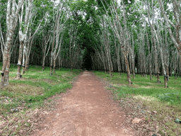 regions where we help farmers in Ghana