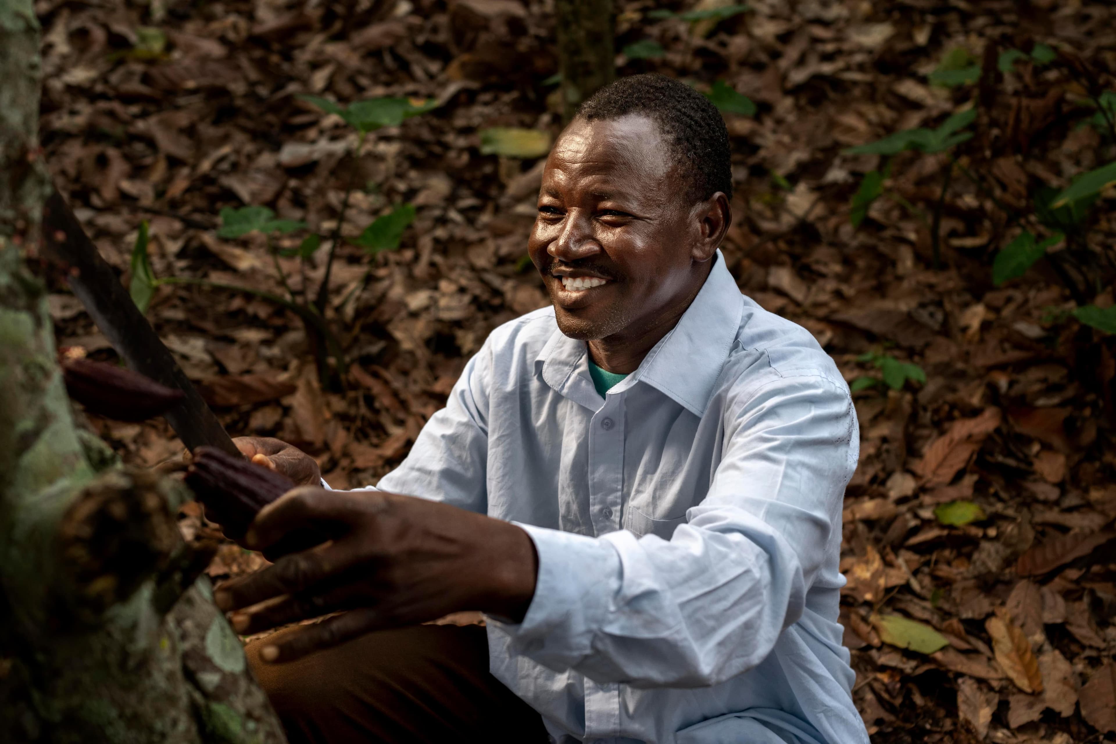 UTZ Certification from the Perspective of Cocoa Farmers in Côte d'Ivoire and Ghana